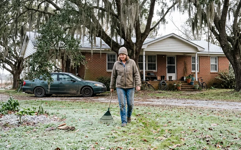 Mild winter morning on the Eastern Shore with light frost and live oaks