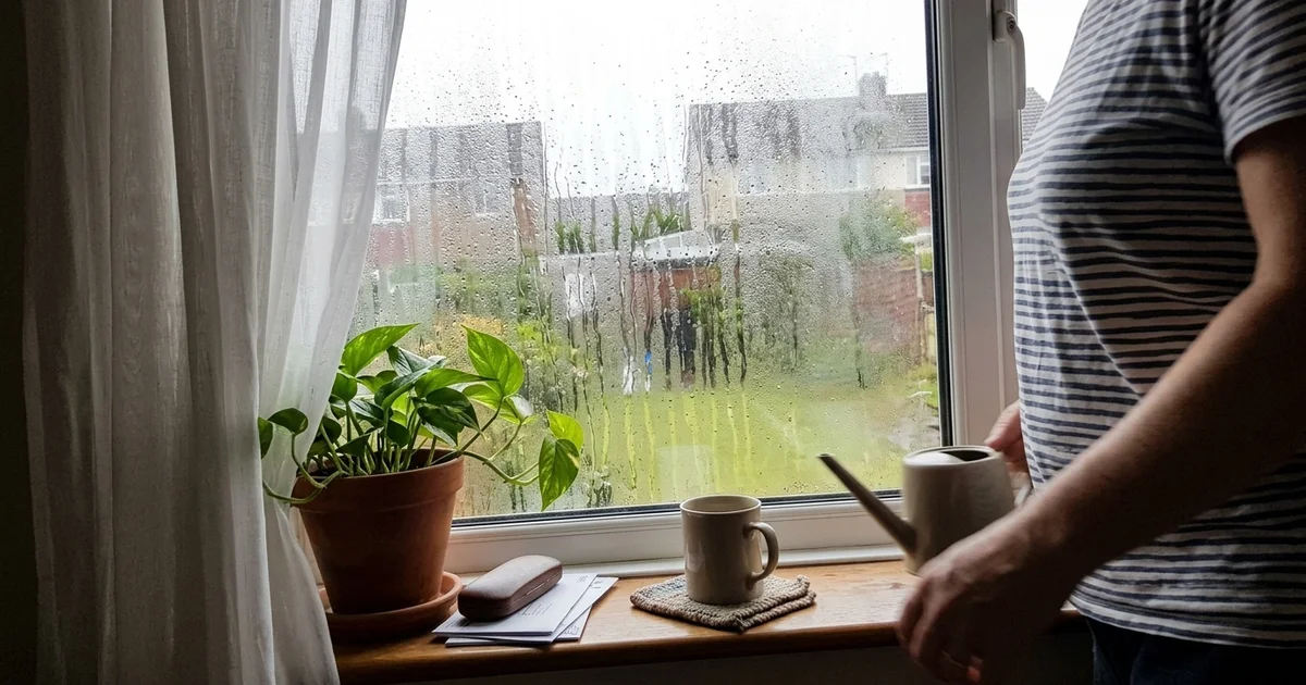 Condensation on the inside of a window in a cool living room